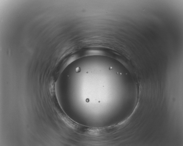 X0000077360190200610271904