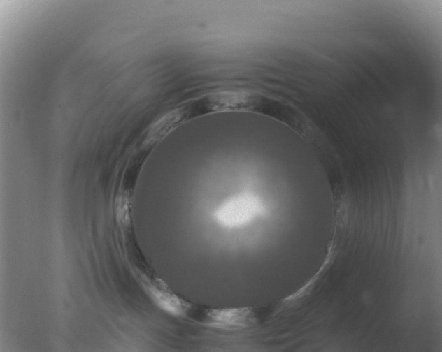 X0000077360191200610271904