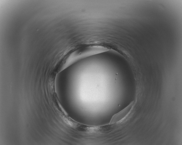 X0000077360192200610271904