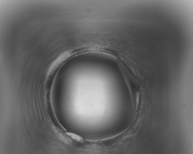 X0000077360197200610271903