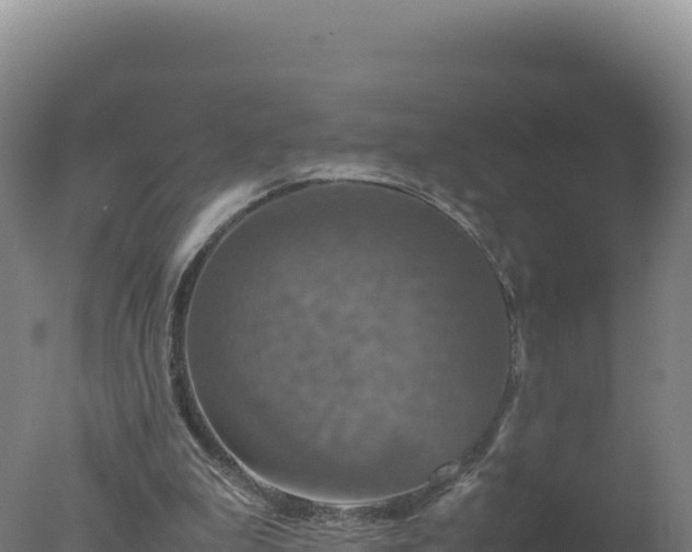 X0000077360199200610271903