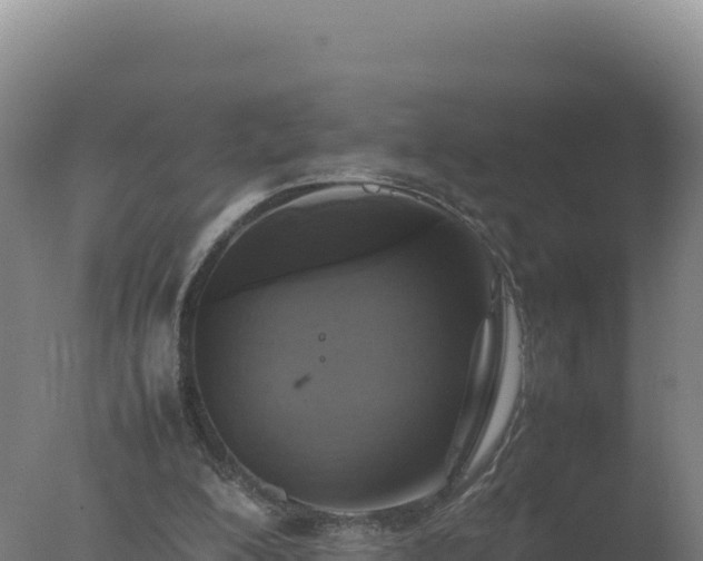 X0000077360200200610271903