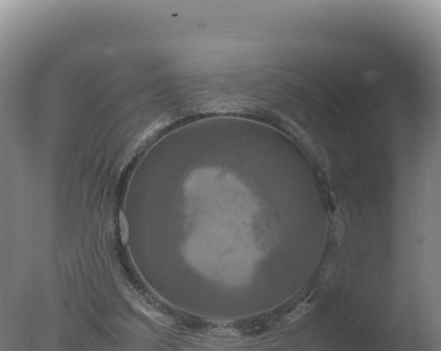 X0000077360203200610271903