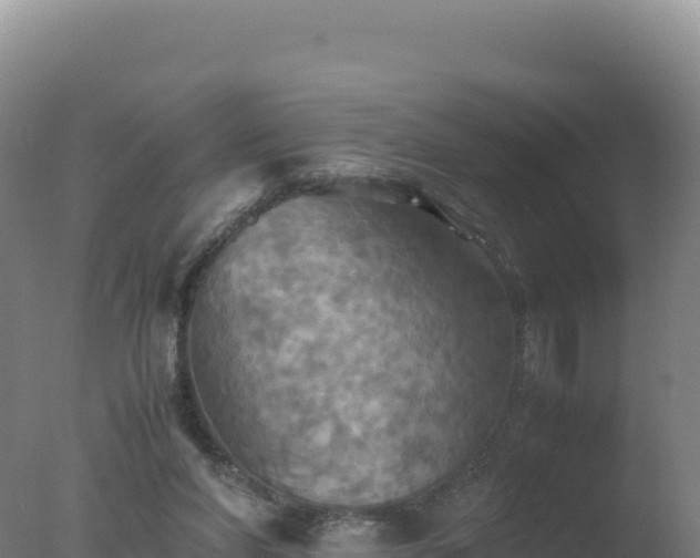 X0000077360206200610271903