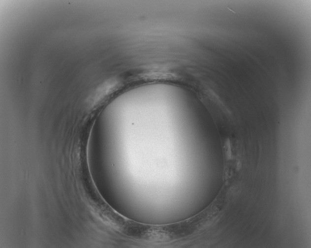 X0000077360207200610271903