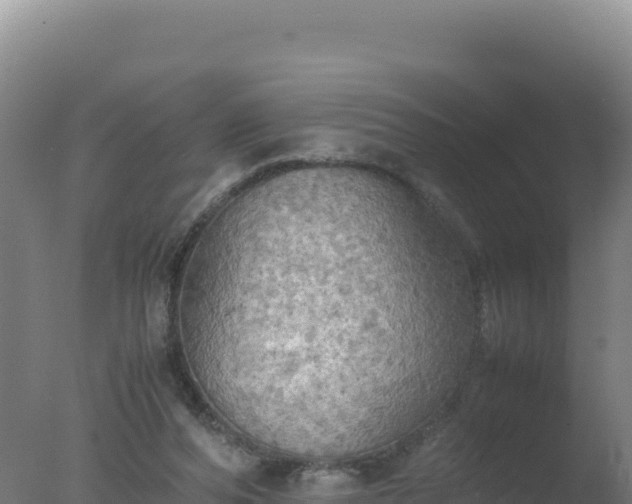 X0000077360208200610271903