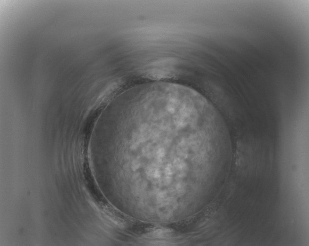 X0000077360210200610271902