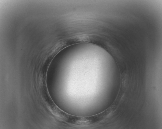 X0000077360213200610271902