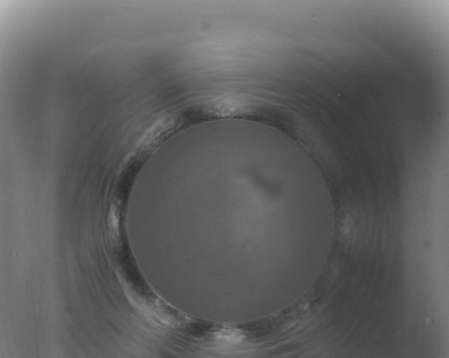 X0000077360214200610271902