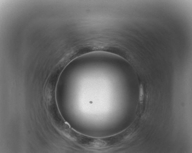 X0000077360215200610271902