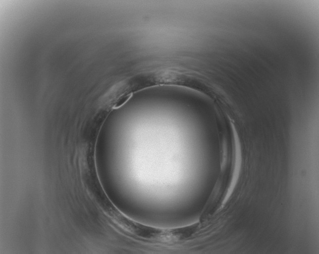 X0000077360217200610271902