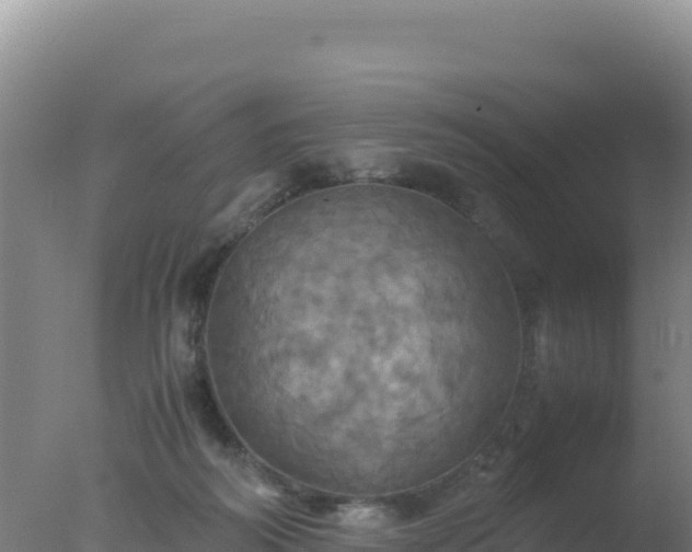 X0000077360218200610271902