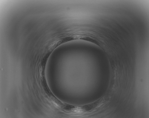 X0000077360219200610271902