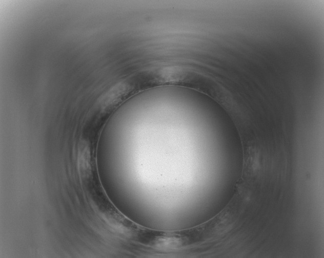 X0000077360220200610271902