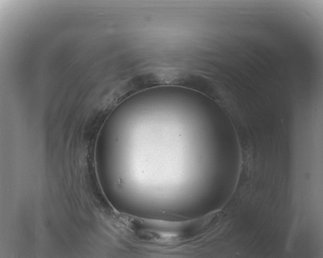 X0000077360221200610271902