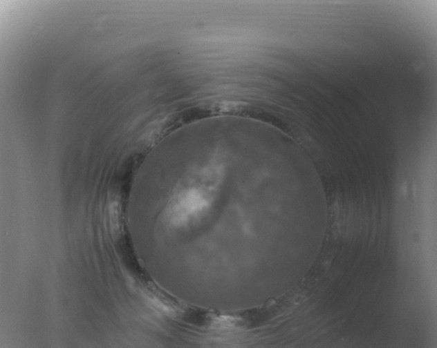 X0000077360222200610271902