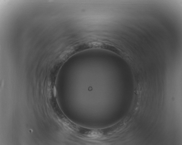 X0000077360223200610271902