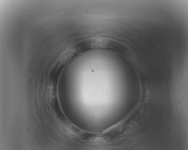 X0000077360224200610271902