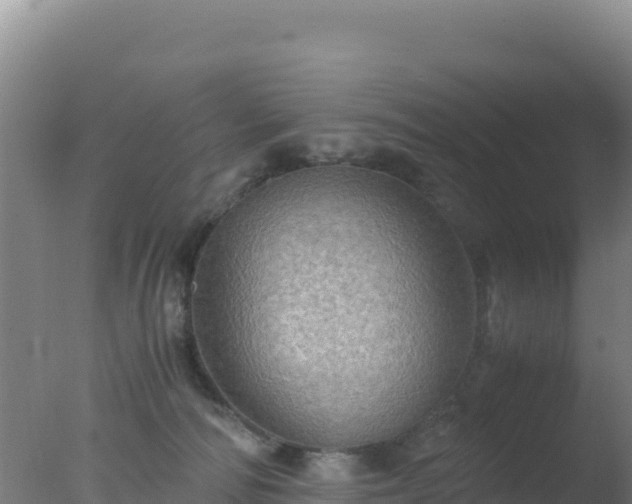 X0000077360226200610271902