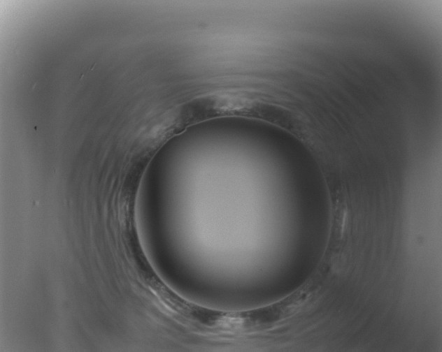 X0000077360227200610271902