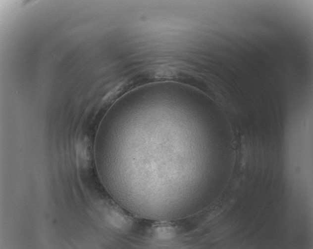 X0000077360228200610271902