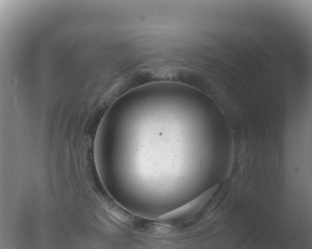 X0000077360229200610271902