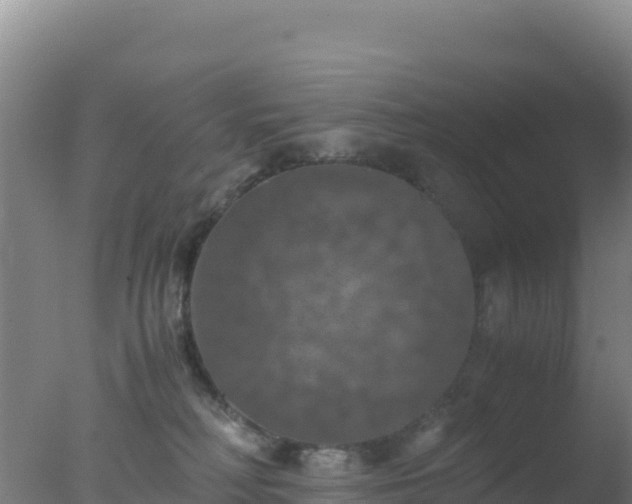 X0000077360230200610271902