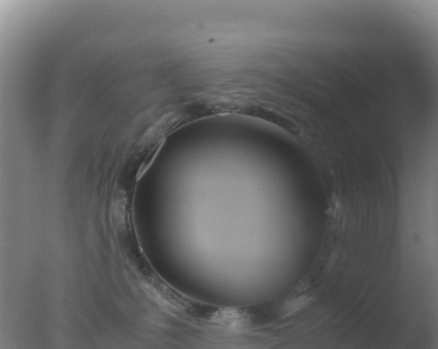 X0000077360231200610271902