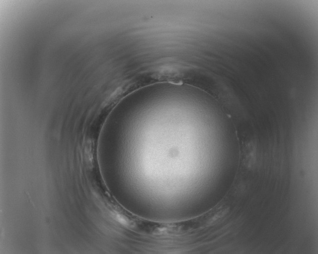 X0000077360232200610271902