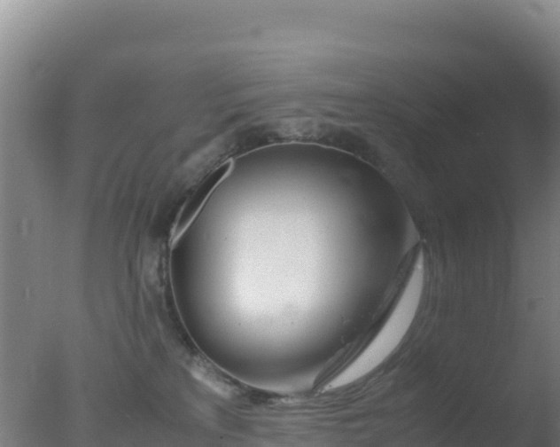 X0000077360233200610271902