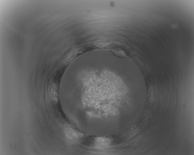 X0000077360234200610271902