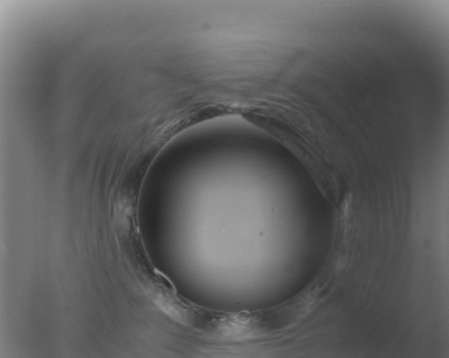 X0000077360235200610271902