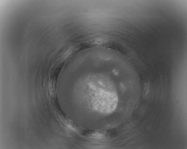 X0000077360236200610271902