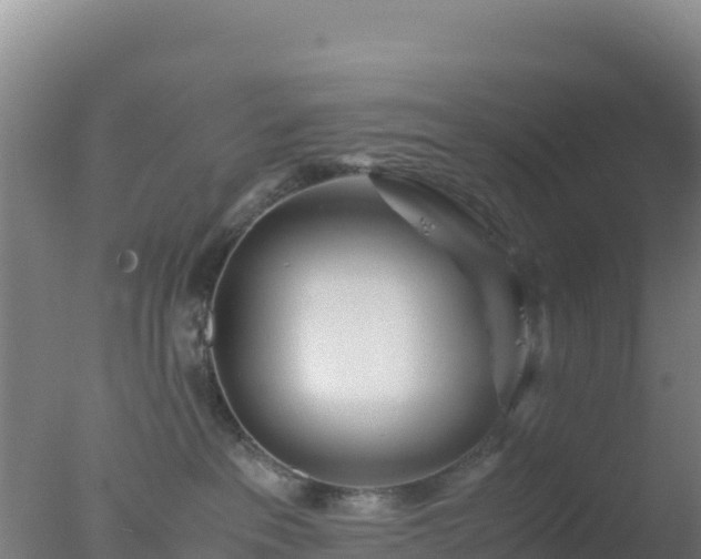 X0000077360237200610271902