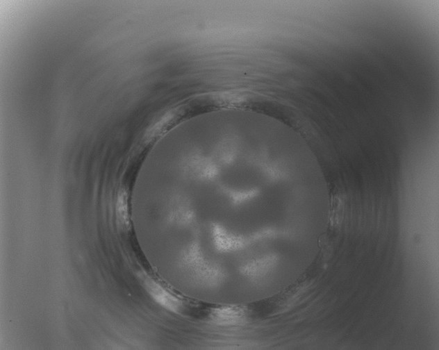 X0000077360238200610271902