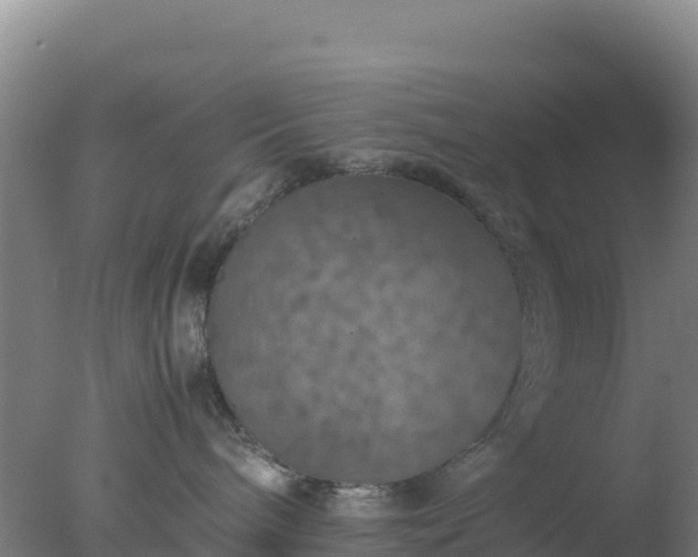 X0000077360240200610271902