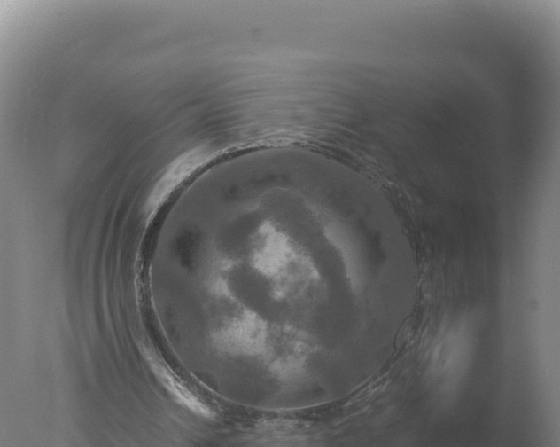 X0000077360242200610271901