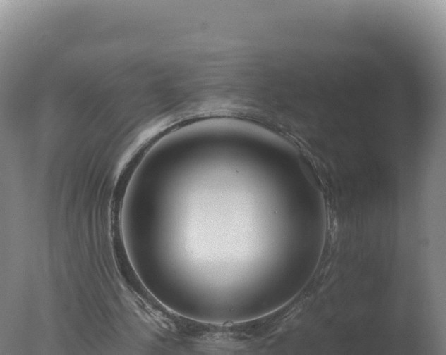 X0000077360244200610271901