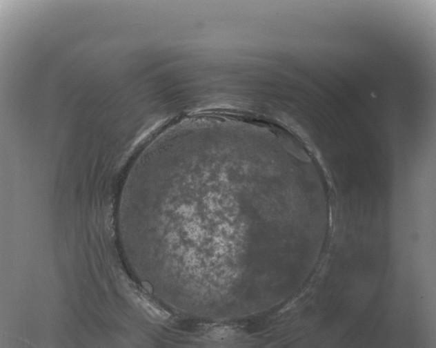 X0000077360249200610271901