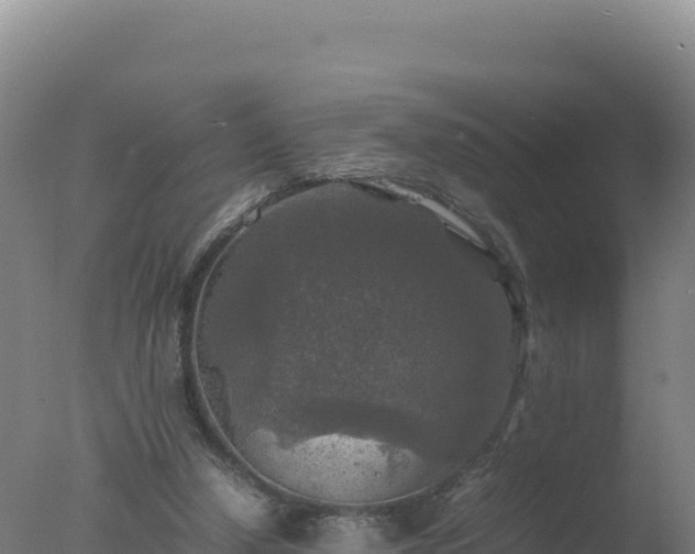 X0000077360250200610271901