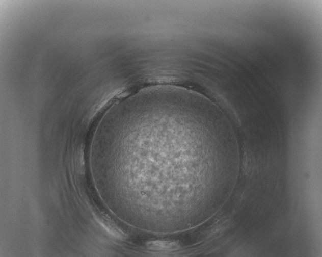 X0000077360251200610271901