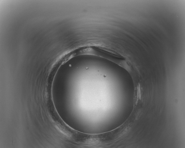 X0000077360252200610271901