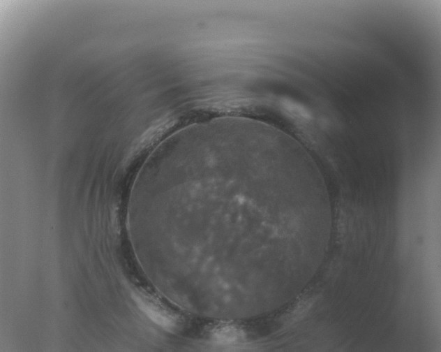 X0000077360258200610271901