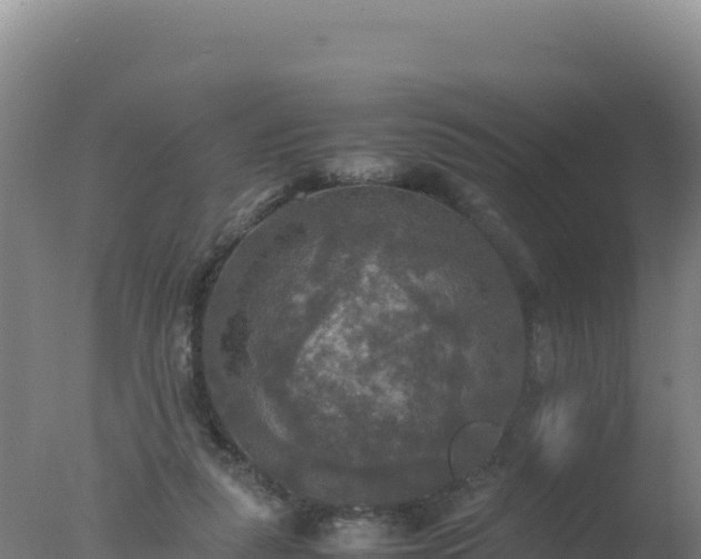 X0000077360259200610271901