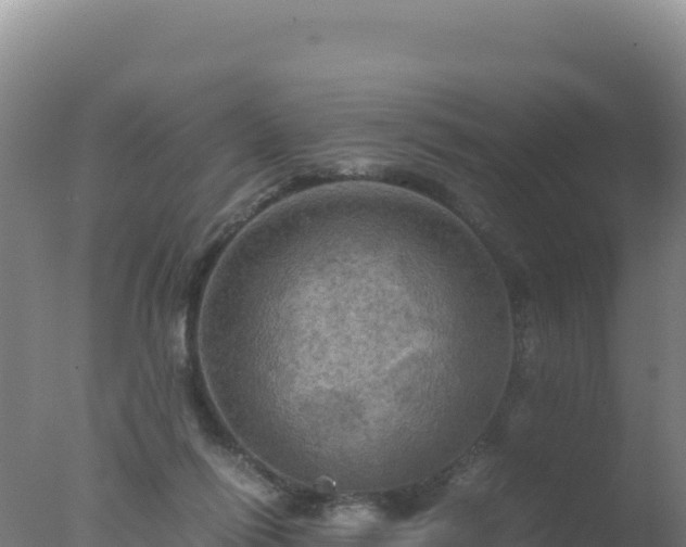 X0000077360262200610271902