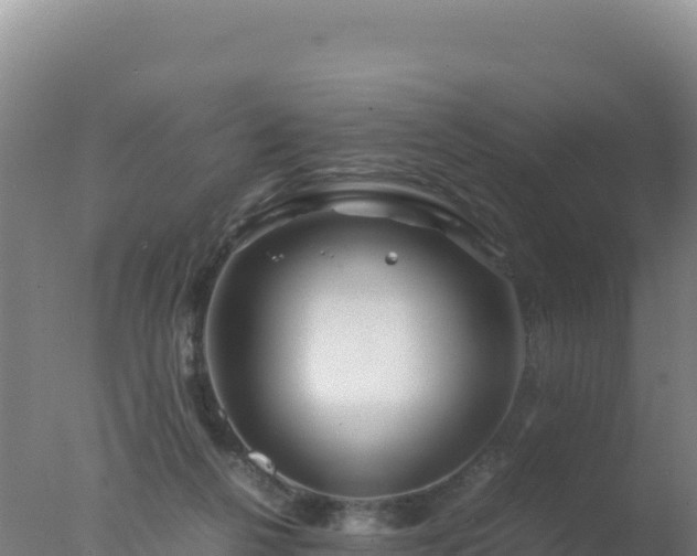 X0000077360264200610271902