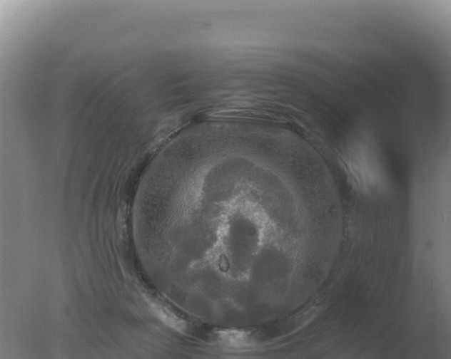 X0000077360265200610271902