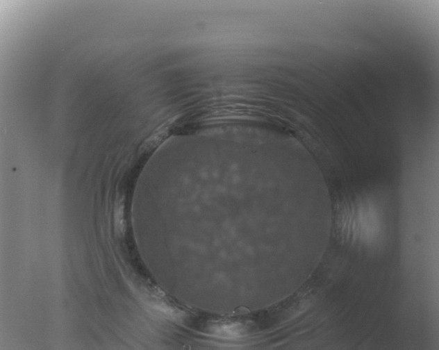 X0000077360267200610271902