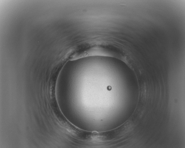 X0000077360268200610271902