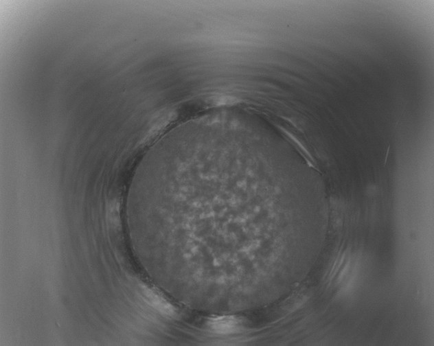 X0000077360269200610271902